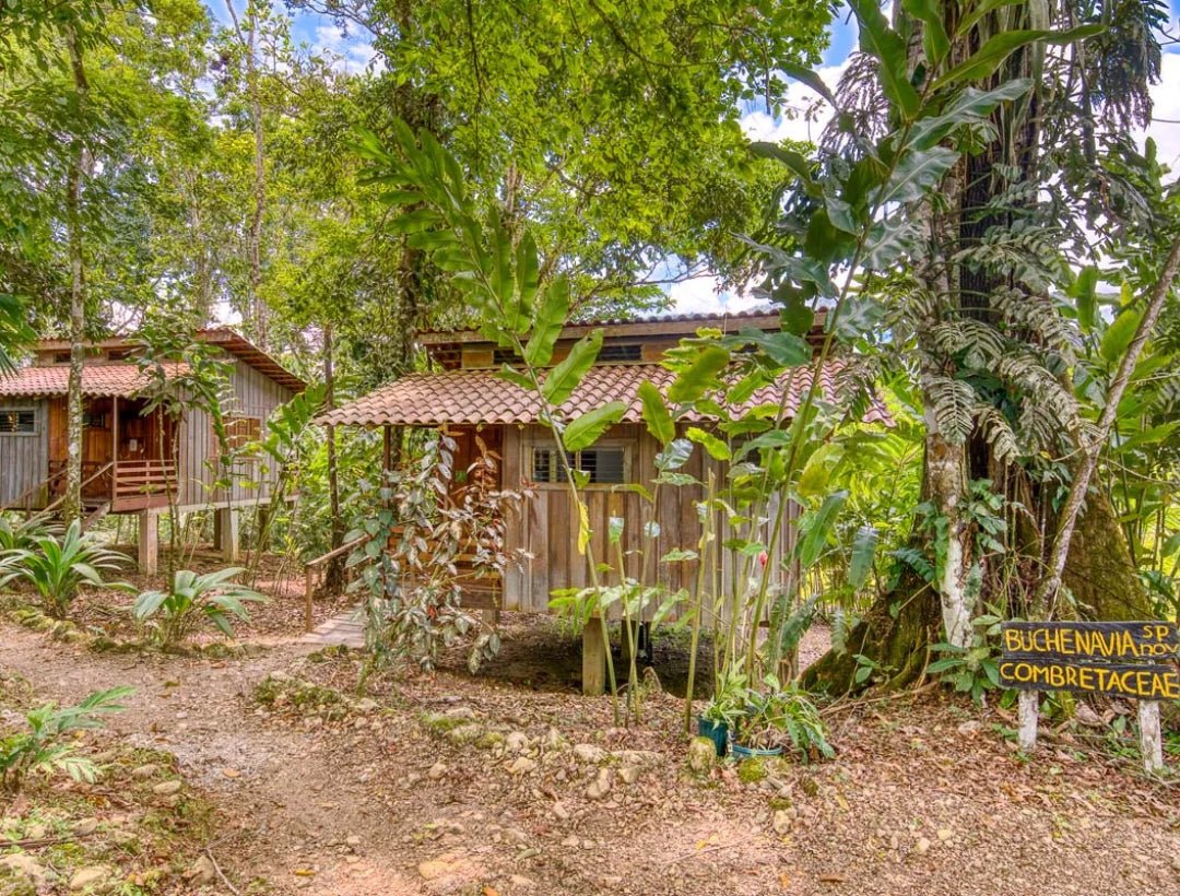 Costa Rica Ecolodges – The Best 7 - NAMUBAK