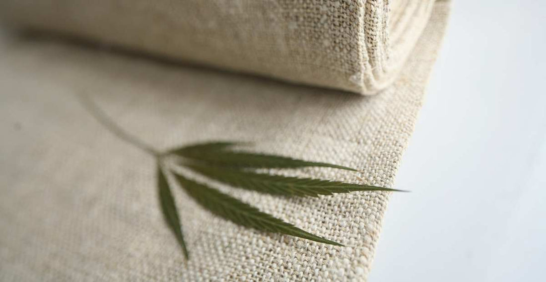 Costa Rica Hemp: The Sustainable Future of Fashion - NAMUBAK