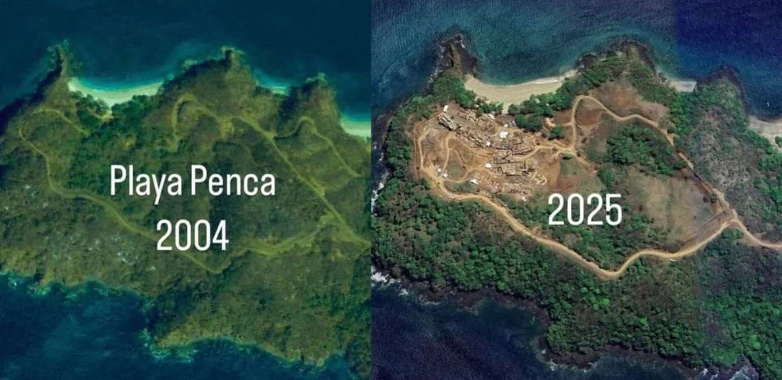 Gentrificación en Costa Rica: Consecuencias y Soluciones Sostenibles