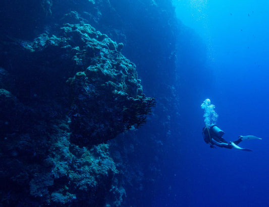 Niveles de certificación de buceo: guía rápida PADI