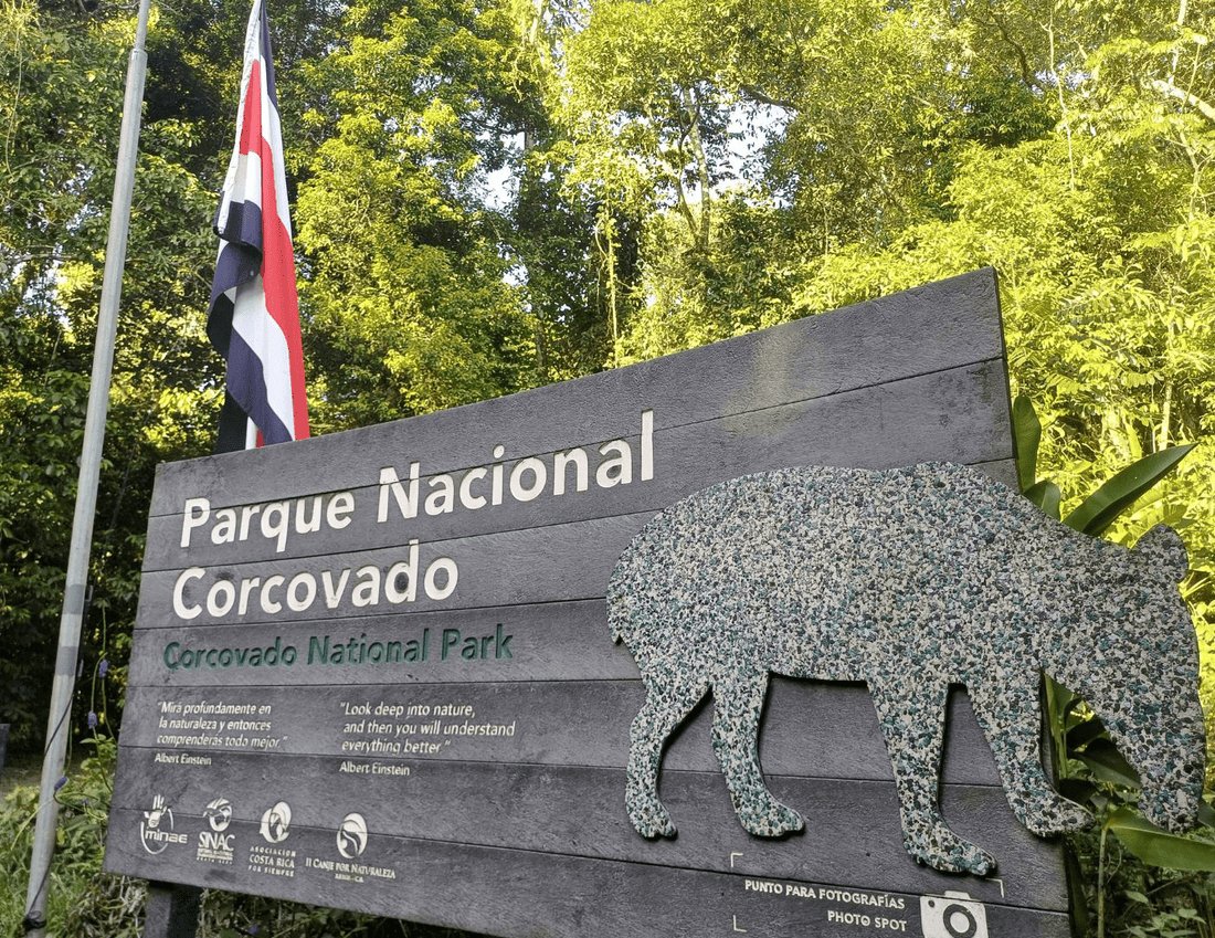 Parque Nacional Corcovado: La Cuna de la Biodiversidad - NAMUBAK