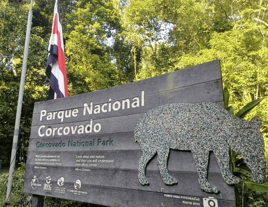 Parque Nacional Corcovado: La Cuna de la Biodiversidad - NAMUBAK