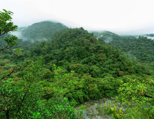 Parque Nacional Tapantí