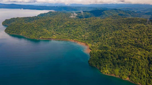 Piedras Blancas National Park: A Treasure of Biodiversity - NAMUBAK