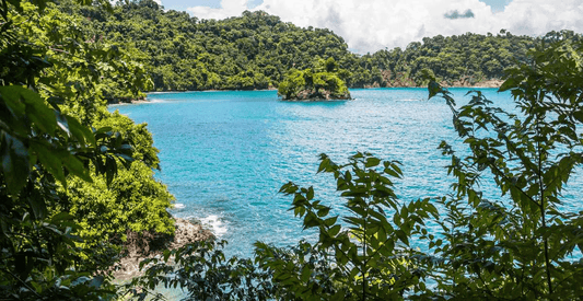 Reserva Natural y Parque Nacional: Descubre sus diferencias - NAMUBAK