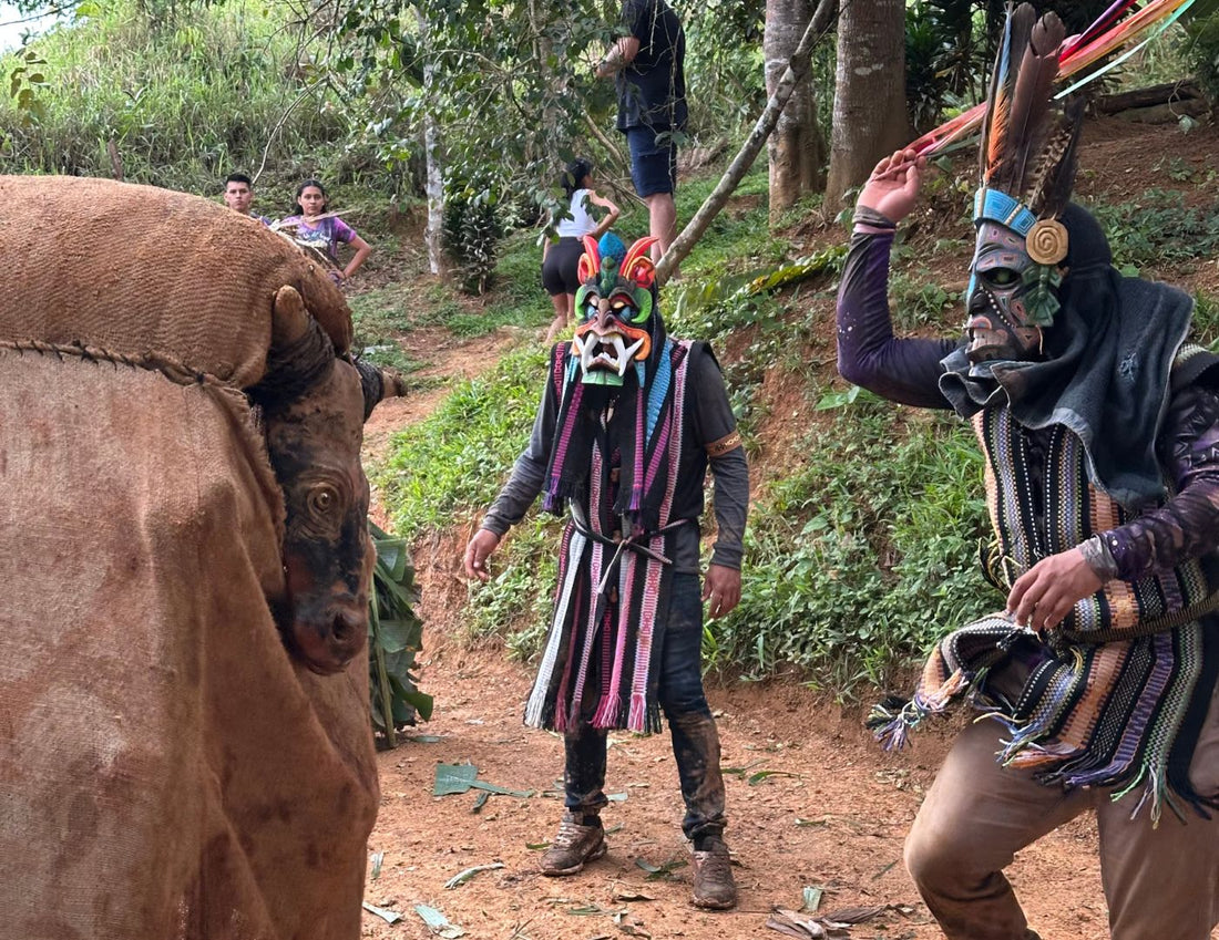 El Baile de los Diablitos Una Tradición Boruca - NAMUBAK
