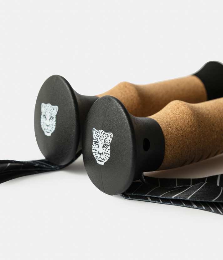 Cork Hiking Poles