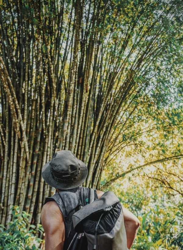 Organic Cotton Bucket Hat