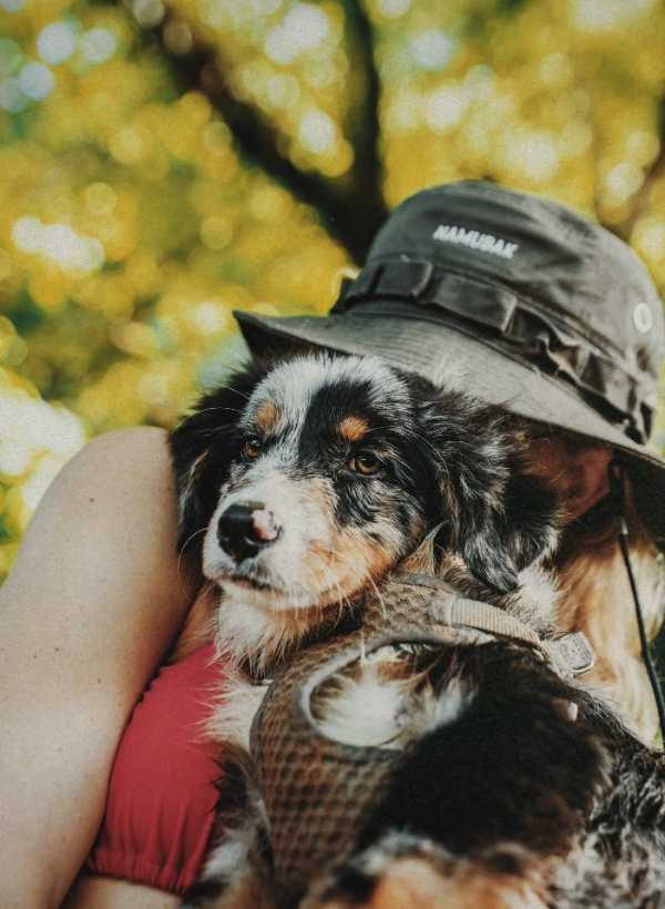 Organic Cotton Bucket Hat