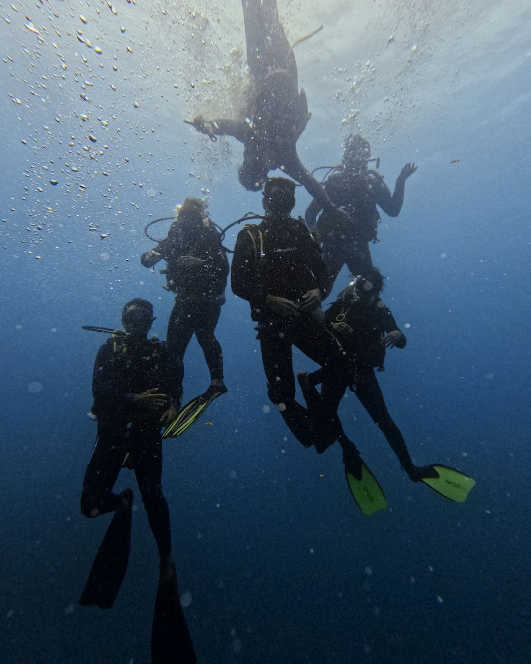 Certificación Open Water