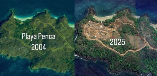 Gentrificación en Costa Rica: Consecuencias y Soluciones Sostenibles