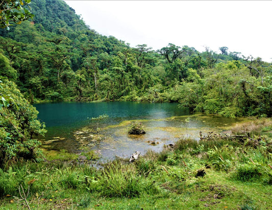 Foto de un Hermoso Pozo Verde en el Parque Nacional Juan Castro Blanco