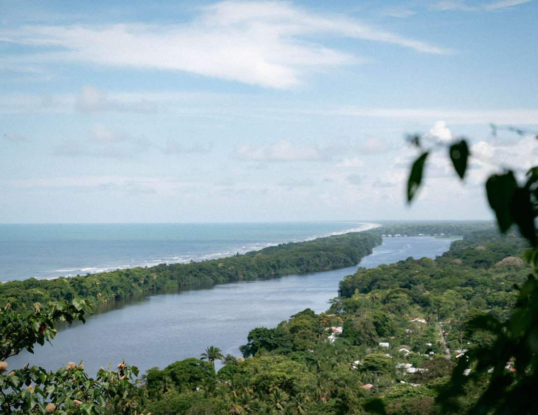 Parque Nacional Tortuguero