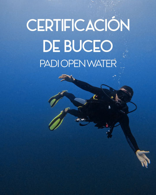 Open Water Certification