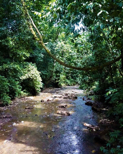 Experiencia Parque Nacional Carara