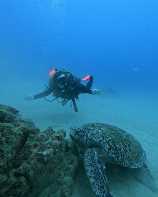 Curso de Buceo en Costa Rica | Certificación PADI Open Water