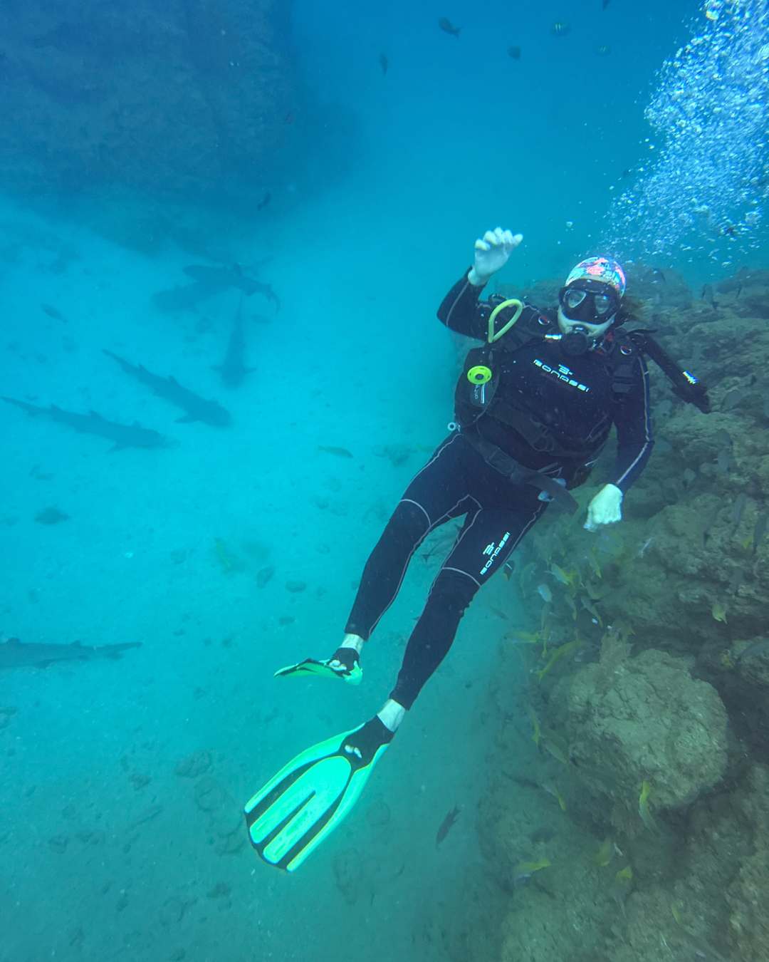 Curso de Buceo en Costa Rica | Certificación PADI Open Water