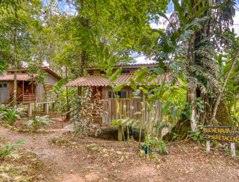 Foto de las cabañas de el Ecolodge Selva Bananito