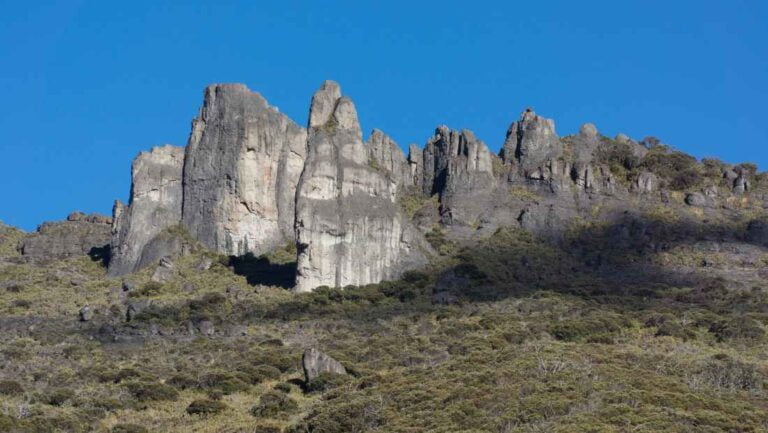 Foto - Parque nacional Chirripó