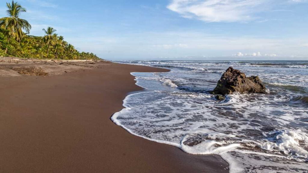 Foto de una playa del parque nacional tortuguero. Este parque cuenta con una gran diversidad biologica.