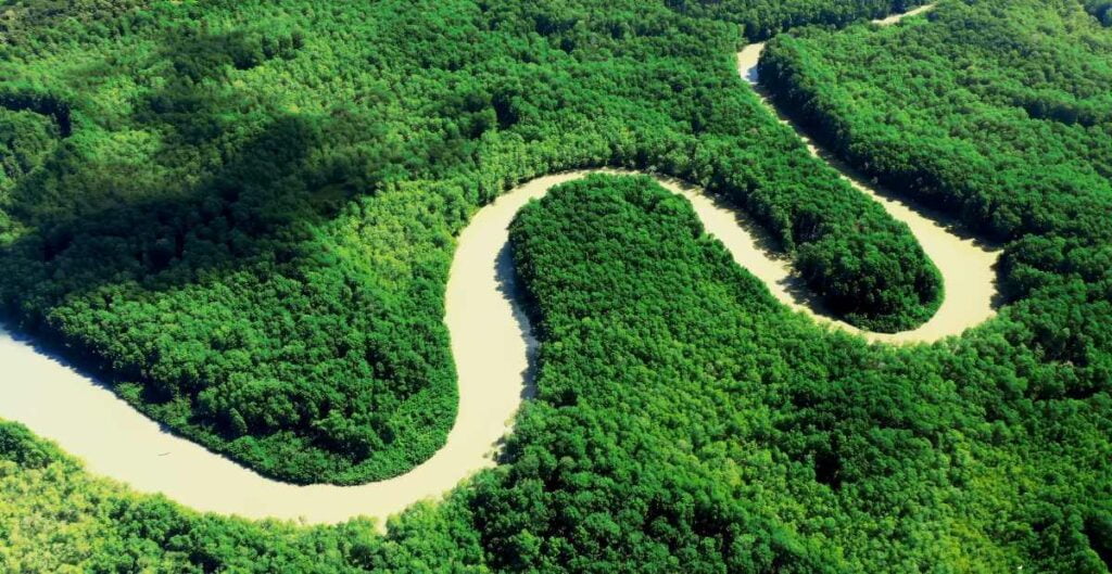 Foto aérea de los manglares de sierpe, reserva natural 