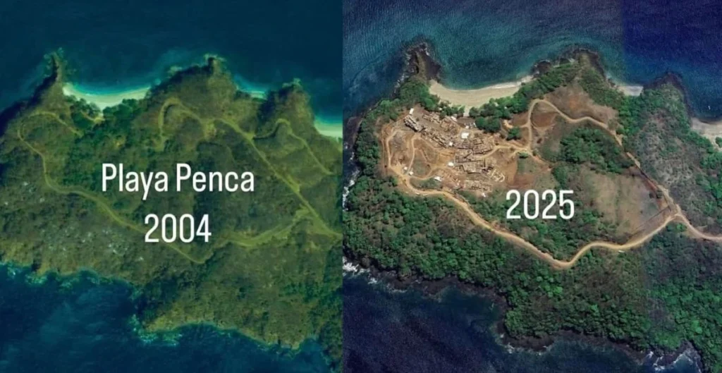 Imágenes satelitales de Playa Penca en 2004 y 2025, mostrando la deforestación y el desarrollo turístico como efectos de la gentrificación en Costa Rica.