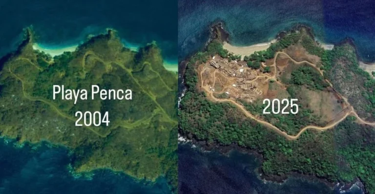 Imágenes satelitales de Playa Penca en 2004 y 2025, mostrando la deforestación y el desarrollo turístico como efectos de la gentrificación en Costa Rica.