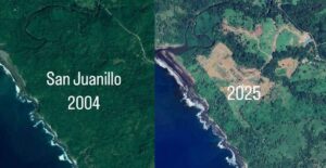 Imágenes satelitales de Playa San Juanillo en 2004 y 2025, mostrando la deforestación y el desarrollo turístico como efectos de la gentrificación en Costa Rica.