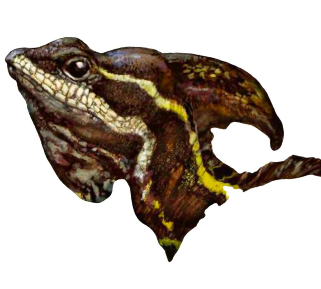 Retrato de un basilisco, la especie Basiliscus basiliscus Retrato por José Manuel Fernandez Cortes